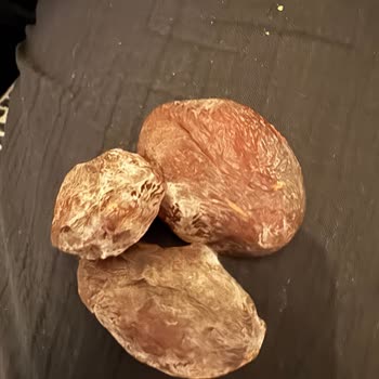 Küflü Kayısı Ürünü Ve Sağlık Endişesi