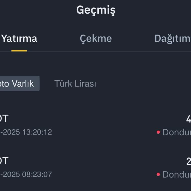 Binance TR'de USDT Yatırımım 1 Haftadır Donduruldu, Destek Yetersiz