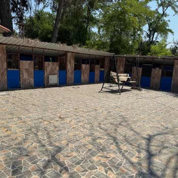 Nilüferköy Köpek Çiftliği'nde Yaşanan Hayal Kırıklığı Ve Mağduriyet