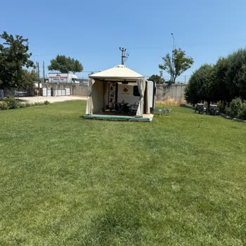 Nilüferköy Köpek Çiftliği'nde Yaşanan Hayal Kırıklığı Ve Mağduriyet