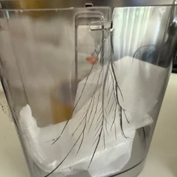 Arya DTM Kırık Kahve Makinesiyle Uğraşırken Çözüm Bulamıyoruz