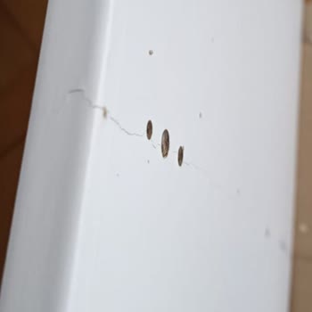 İade Talebim 10 Gündür Sonuçlanmadı, Çözüm Bekliyorum