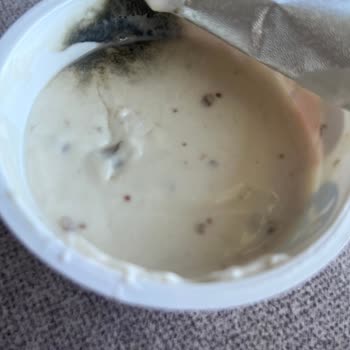 Bozuk Ve Küflü Sek Quark Yoğurt Şoku