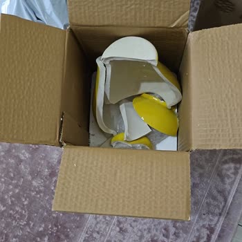 Kırık Ve Kusurlu Ürünler, Yavaş Teslimat Mağduriyeti