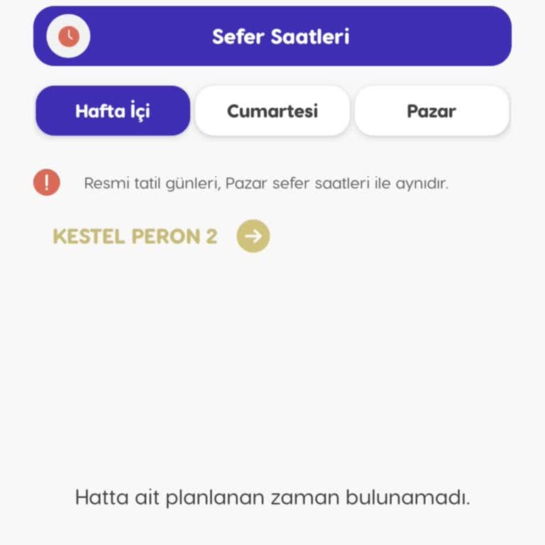 D11-A Otobüsünde Sefer Saatleri Ve Yoğunluk Sorunu