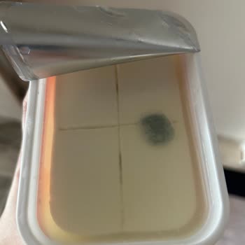 Son Kullanma Tarihi Geçmemiş Peynir Küflü Çıktı, Tekrar Alışveriş Yapmam