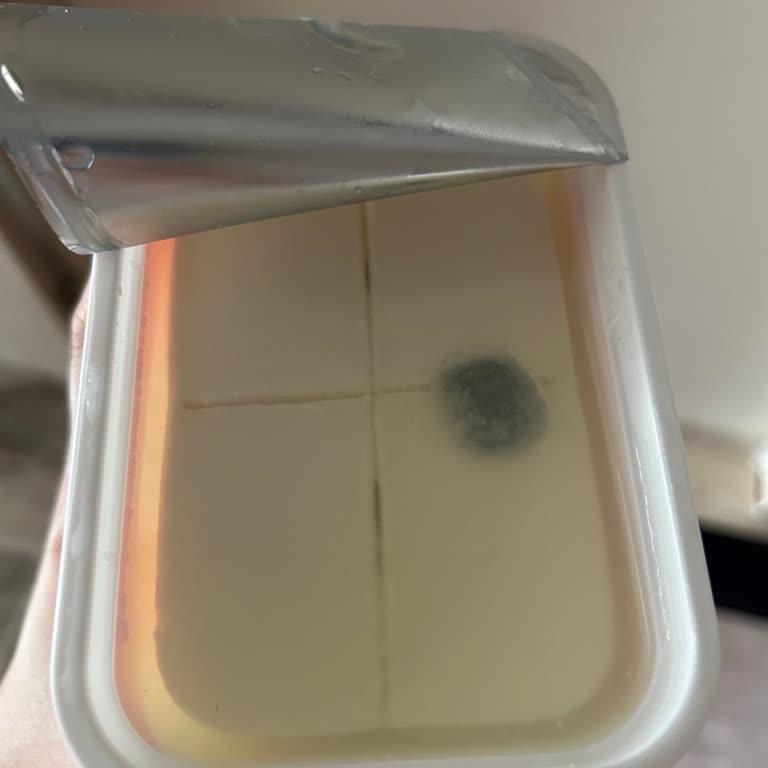 Son Kullanma Tarihi Geçmemiş Peynir Küflü Çıktı, Tekrar Alışveriş Yapmam