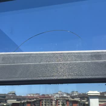 Alonson Mağduriyeti