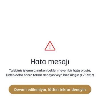 Etihad Web Sitesinde Ekstra Bagaj Alma Sorunu Çözülmüyor