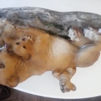 Gardrops'tan Aldığım Kırık Biblo İçin İade Sorunu Yaşadım