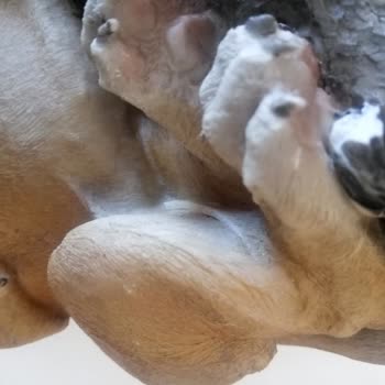 Gardrops'tan Aldığım Kırık Biblo İçin İade Sorunu Yaşadım