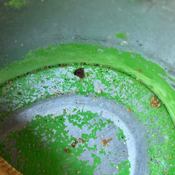 Kahvaltıda Bayat Ekmek Ve Ekmeklikte Saç Kılı Sorunu