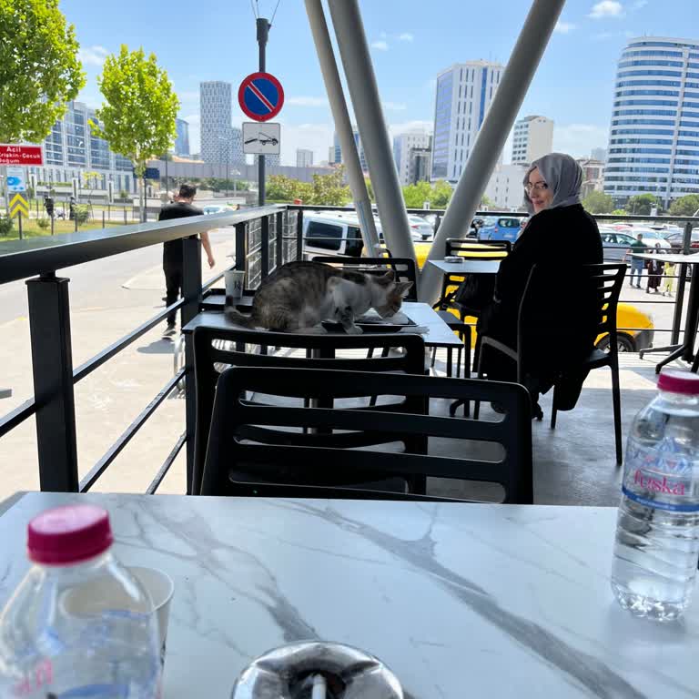 Hastane Karşısındaki Kafede Hijyen Sorunu: Kediler Masalarda Geziyor
