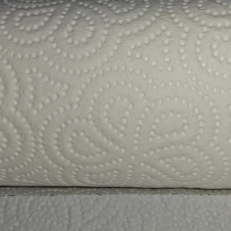 Blume Kağıt Havluda Kıl Ve Pislik Sağlığımızı Tehdit Ediyor