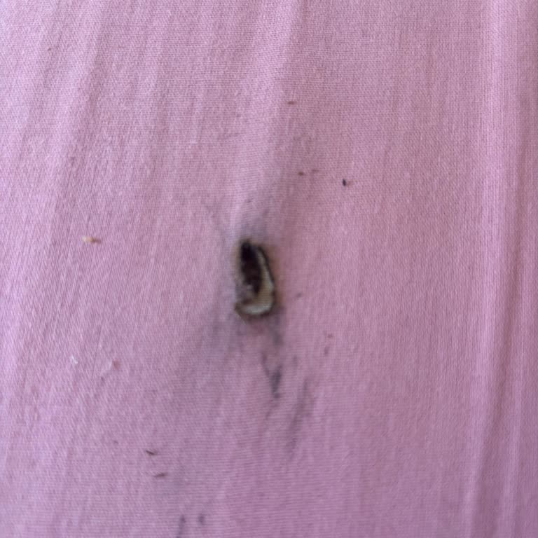 Winston Dark Blue Sigara Külü Evime Zarar Verdi