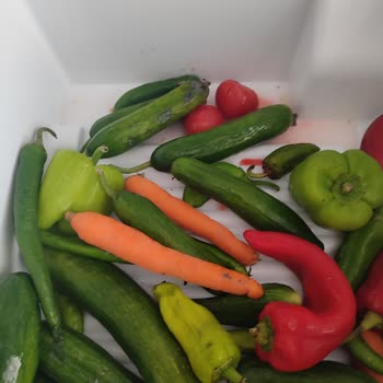 Bosch Buzdolabında Sürekli Sorun Ve Servis Çilesi