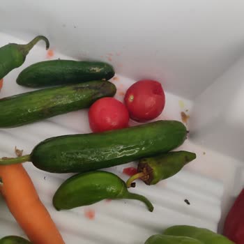 Bosch Buzdolabında Sürekli Sorun Ve Servis Çilesi