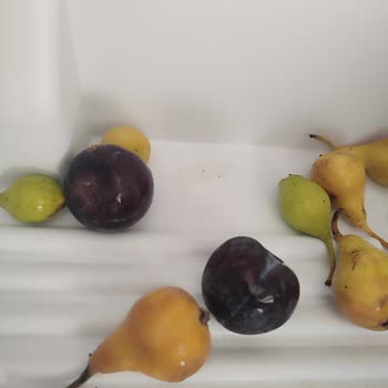 Bosch Buzdolabında Sürekli Sorun Ve Servis Çilesi