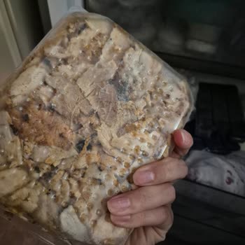 Dondurulmuş Ürünler Erimiş Ve Kullanılamaz Geldi