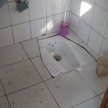 Turyol'da Hijyen Sorunu Ve Yetersiz WC Hizmeti