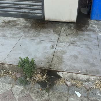 BİM Mağazasının Gece Sevkiyatı Ve Temizlik Sorunları