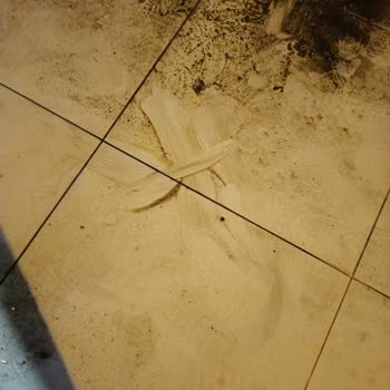 BİM Mağazasının Gece Sevkiyatı Ve Temizlik Sorunları