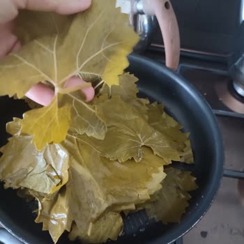 @tokaterbaa.yaprak'tan Aldığım Yapraklar Yırtık Çıktı