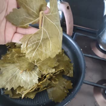 @tokaterbaa.yaprak'tan Aldığım Yapraklar Yırtık Çıktı