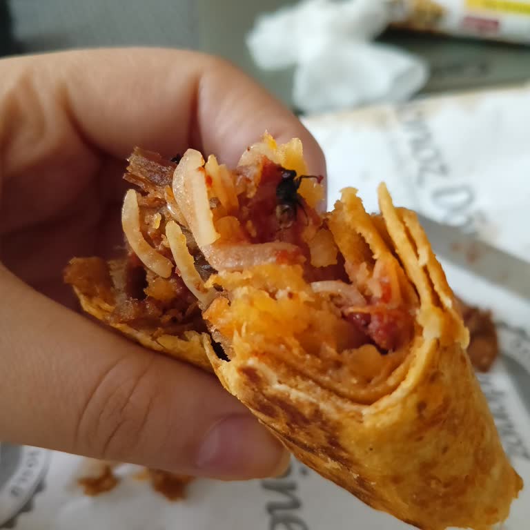 Siparişimden Sinek Çıktı, Yemeksepeti'nden Canlı Destek Ve İade Alamıyorum