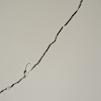 Ortak Alanların Haksız İşgali Ve Hak Kaybı Yaşanması