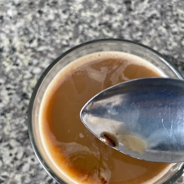 Nescafe'de Böcek Şoku: Kahvemde Ölü Böcek Çıktı!