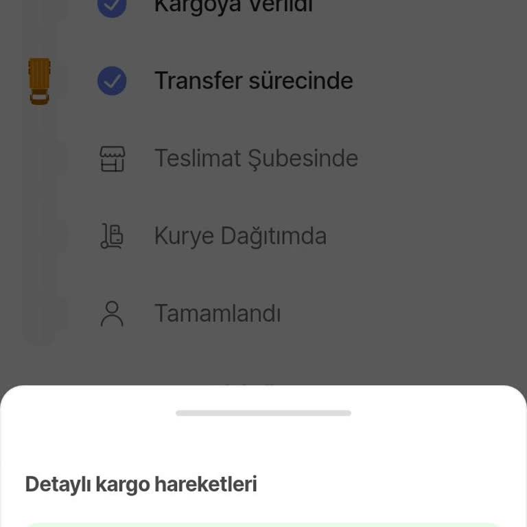 Kargom 5 Gündür Bursa TM Aktarma Merkezinde Bekliyor, Sorunum Çözülmüyor