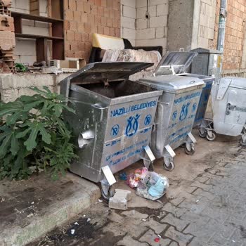 Çöp Konteynerleri Sağlığımızı Tehdit Ediyor!