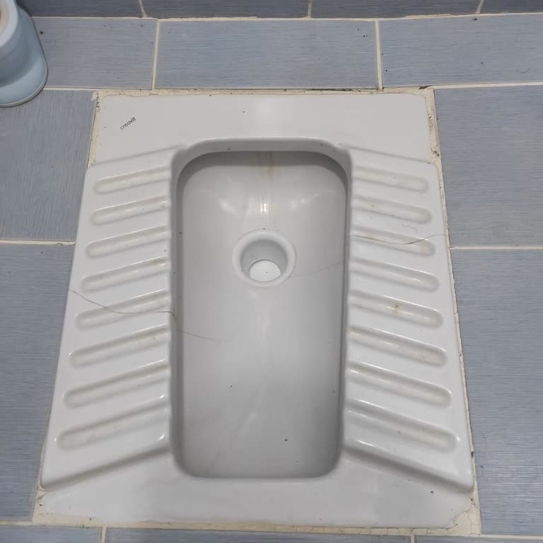 Creavit Marka Tuvalet Nedeniyle Yaşanan Sorun Ve Yetersiz Müşteri Desteği