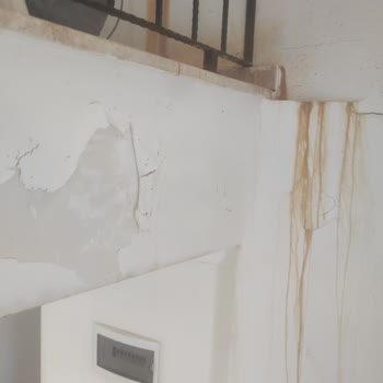 DemirDöküm Servis Hatası Sonucu Evde Küf ve Maddi Zarar