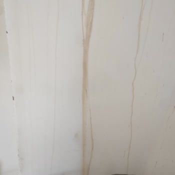 DemirDöküm Servis Hatası Sonucu Evde Küf ve Maddi Zarar