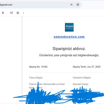 Kartvizit Siparişim Zamanında Teslim Edilmedi, İşlerim Aksadı Ve Mağdur Oldum