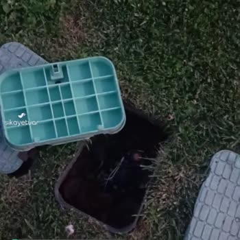 Maltepe Sahil İSKİ Rögar Kapağı Yaralanmaya Sebep Oldu!