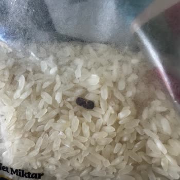 Aldığım Pirinçten Fare Dışkısı Çıktı, Mağduriyet Yaşadım