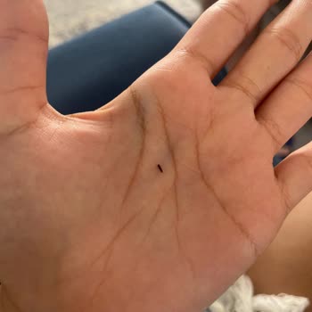 Tuzu Kuru Plaj Kuş Adası Deniz Dalgalı Olmasına Rağmen Cankurtaran Yoktu