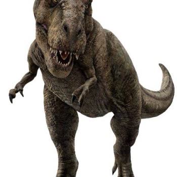 Sürpriz Yumurtadan Dinozor Çıkması Ve Kötü Çikolata Deneyimi