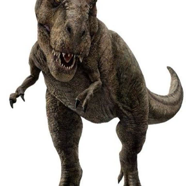 Sürpriz Yumurtadan Dinozor Çıkması Ve Kötü Çikolata Deneyimi