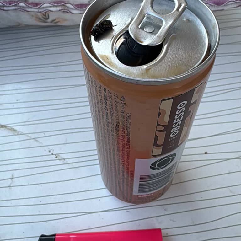 Kahvenin İçinden Sinek Çıktı: Sağlığımız Hiçe Sayılıyor!