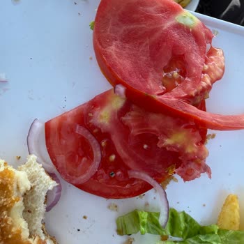 Grey Beach Club Yemekte Taş Parçası Çıkması