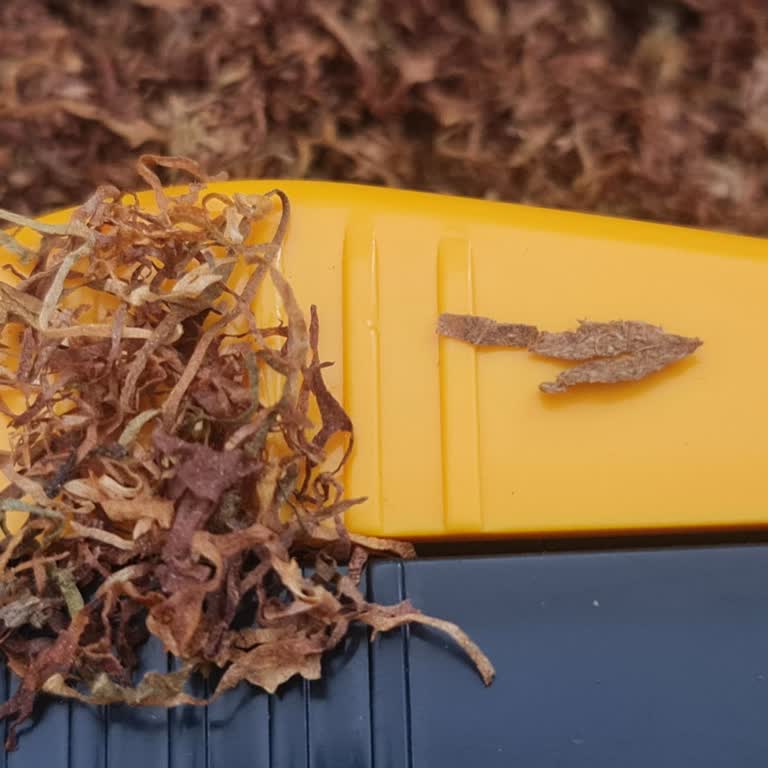 Camel Yellow 100 Gr Tütün Ürününde Sürekli Karton Parçası Sorunu