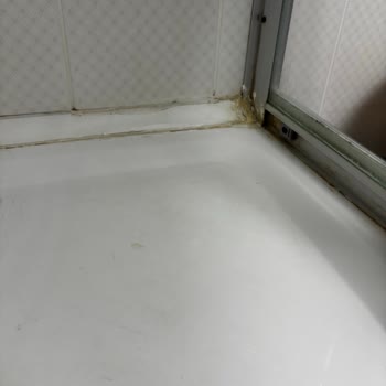 3200 TL'ye Temizlik Fiyaskosu Ve Yetersiz Telafi Teklifi