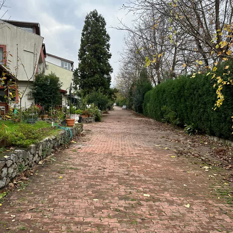 Kargolarım Sürekli Yanlış Adrese Bırakılıyor, Sorunum 1 Yıldır Çözülmedi