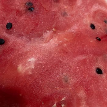 Online Satın Aldığım Karpuz Tamamen Çöpe Gitti!