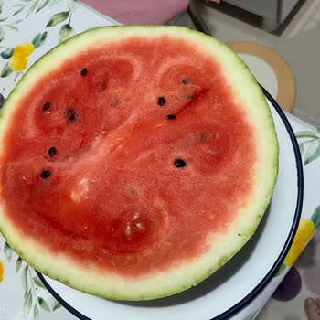 Online Satın Aldığım Karpuz Tamamen Çöpe Gitti!