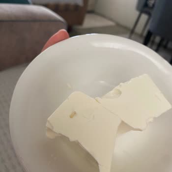 Peynirde Yabancı Maddeyle Karşılaştım